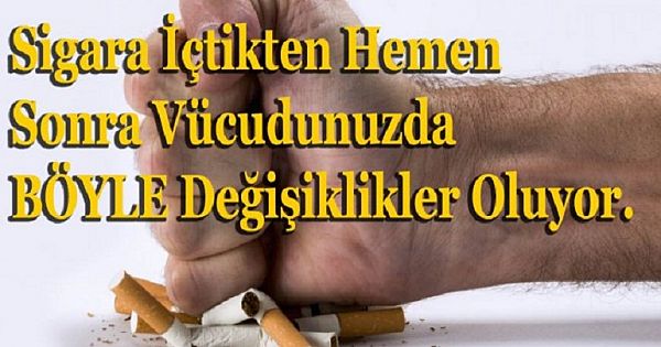 S-igara İçtikten Hemen Sonra Vücudunuzda BÖYLE Değişiklikler Oluyor.