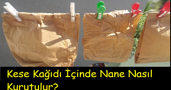 Kese Kağıdı İçinde Nane Nasıl Kurutulur?