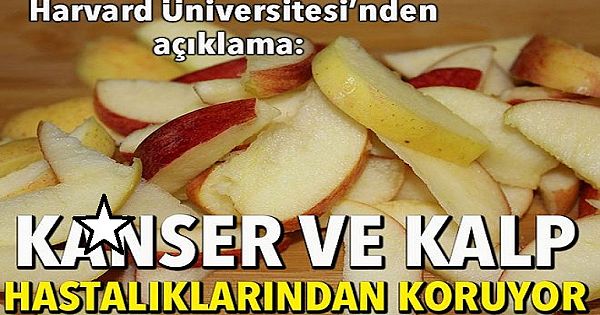 Hastalıklara karşı kalkan görevi gören besinler