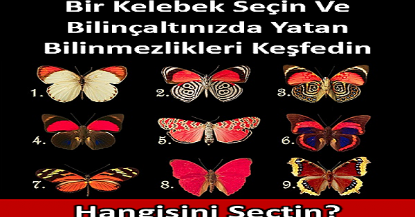 Bir Kelebek Seçin Ve Bilinçaltınızda Yatan Bilinmezlikleri Keşfedin
