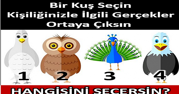 Seçilen Bir Kuş, Kişiliğinizle İlgili Gerçekleri Ortaya çıkarıyor
