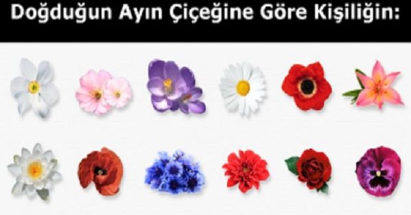 Doğduğun Ayın Çiçeği Kişiliğiniz H-akkında Neler Söylüyor?
