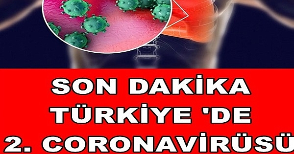 Bakan açıkladı: Türkiye'de ikinci corona vakası tespit edildi 