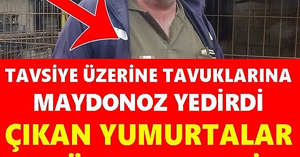 Gören Gözlerine İnanamadı: Tavuğuna Maydonoz Yedirdi, Yumurtalar Böyle Çıktı 