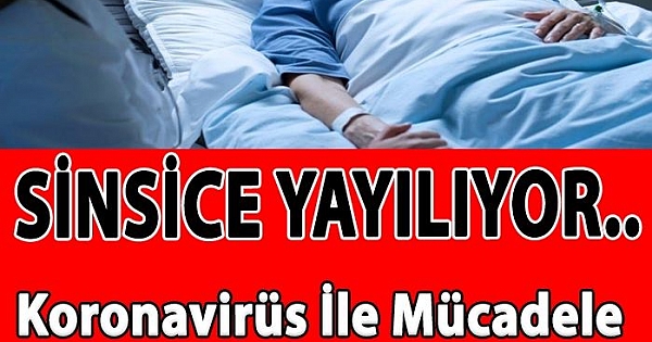 Koronavirüs İle Mücadele Ederken Başka Bir Tehlike Bizi Bekliyor SİNSİCE YAYILIYOR 