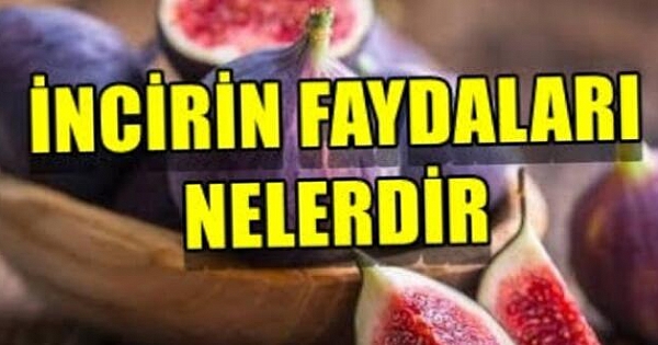 İşte incirin faydaları